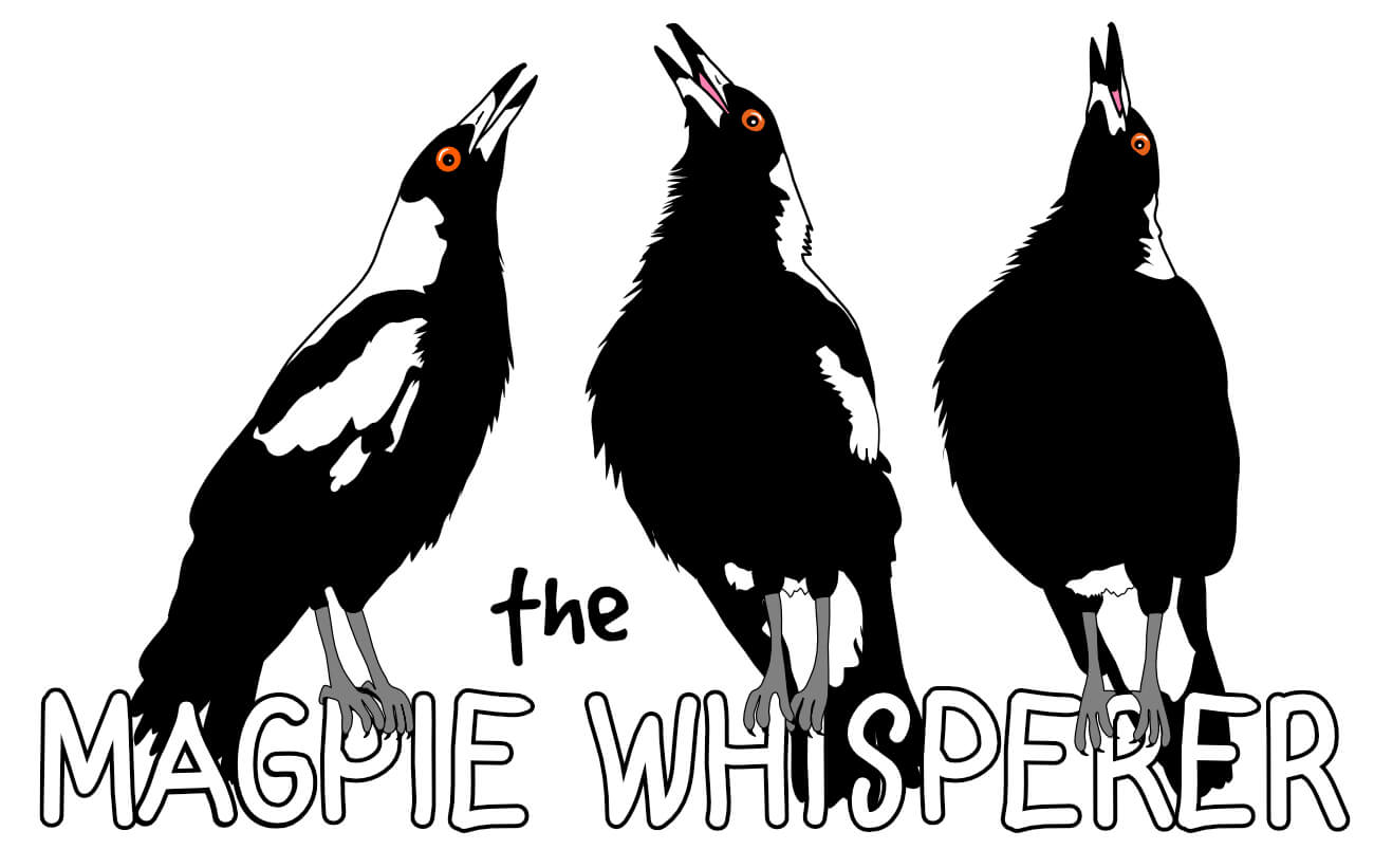 Australian Magpie Freebies – Tagged "Colouring Pages" – The Magpie